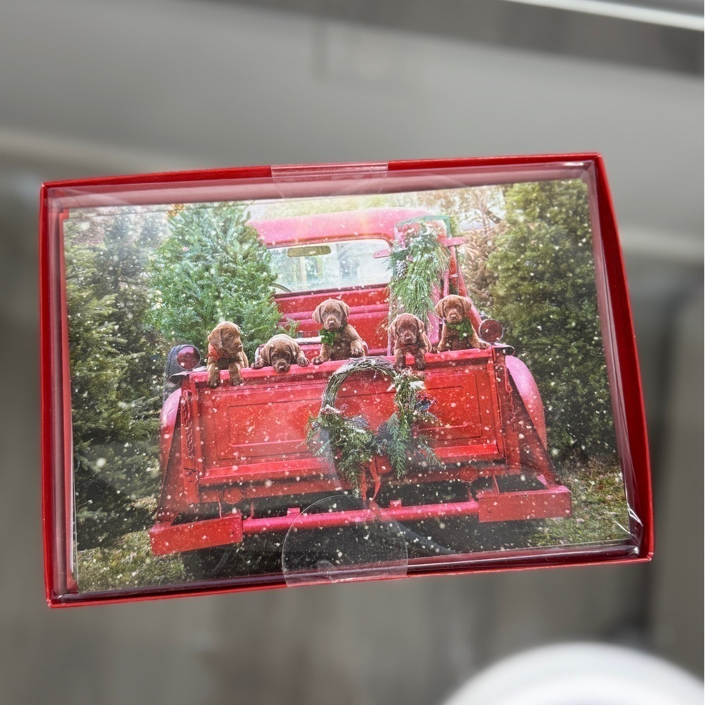 Leanin Tree Dogs in Truck Christmas Holiday Cards (10 cards with envelopes)